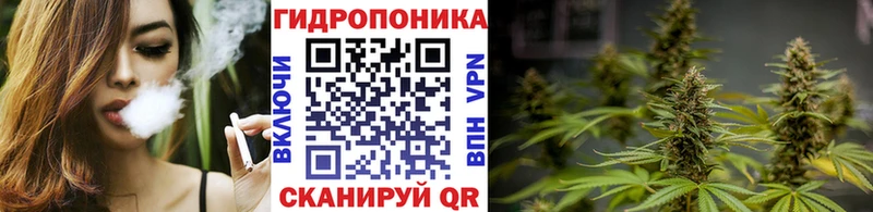 Каннабис ГИДРОПОН  Электроугли 